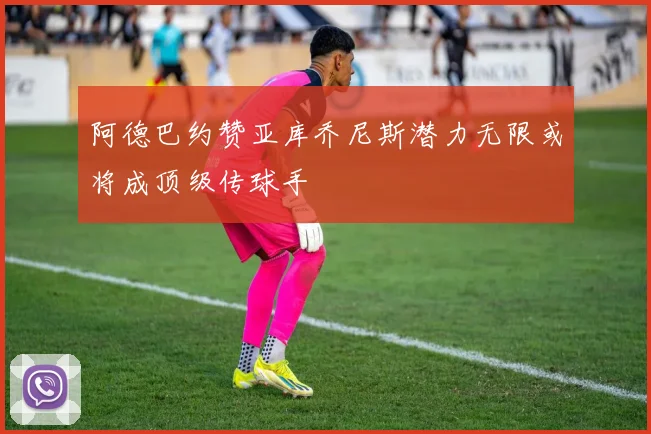 阿德巴约赞亚库乔尼斯潜力无限或将成顶级传球手