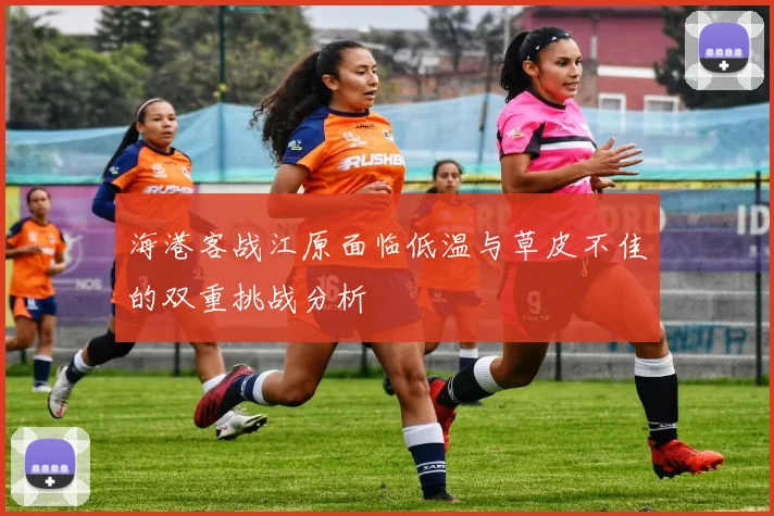 海港客战江原面临低温与草皮不佳的双重挑战分析